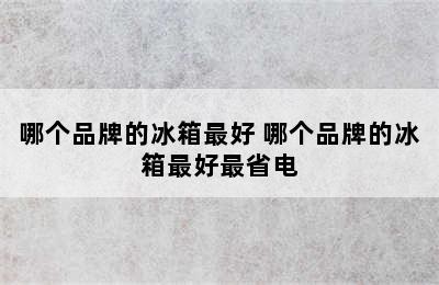 哪个品牌的冰箱最好 哪个品牌的冰箱最好最省电